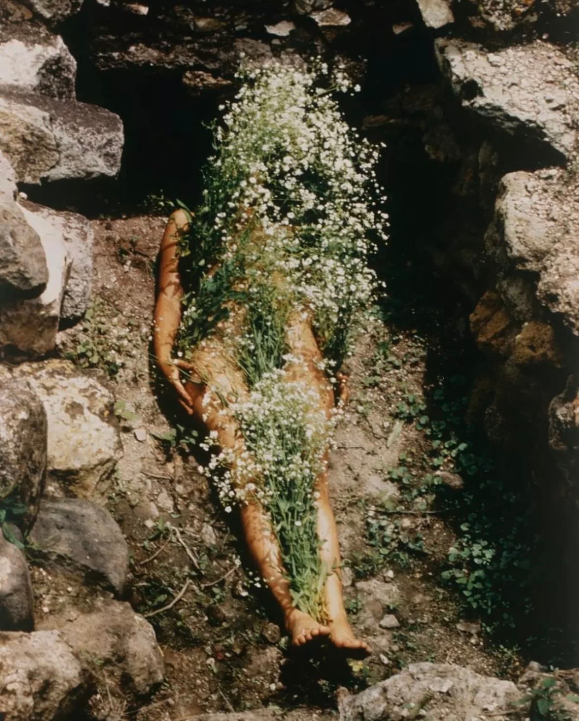 Cerchio di Primavera